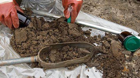 Soil Revitailization