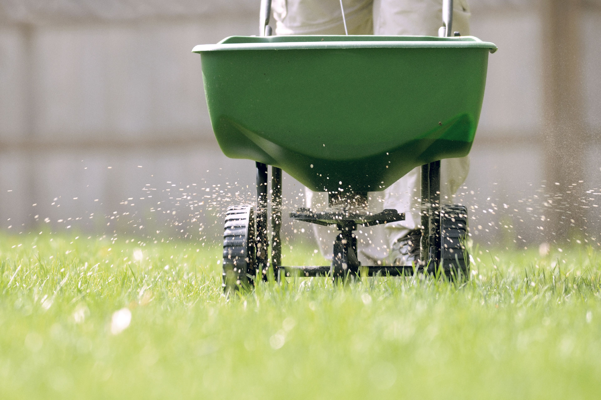 Lawn Fertilization