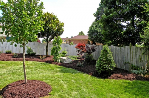 Tree Fertilization