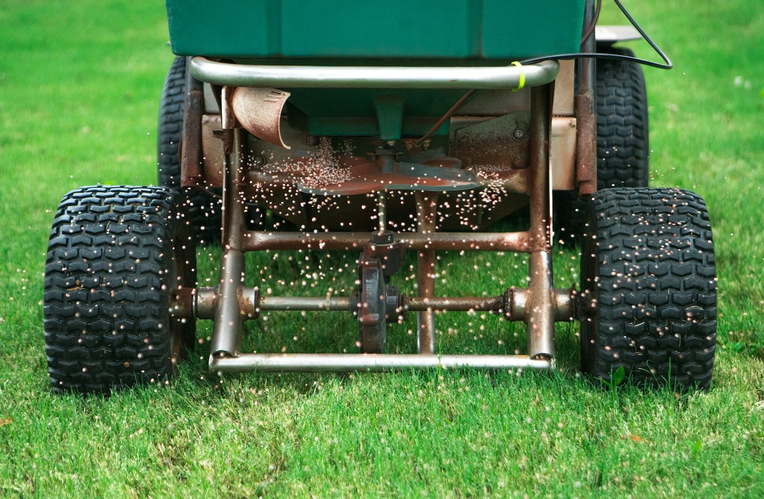 grassperson crew lawn seeding fertilizing