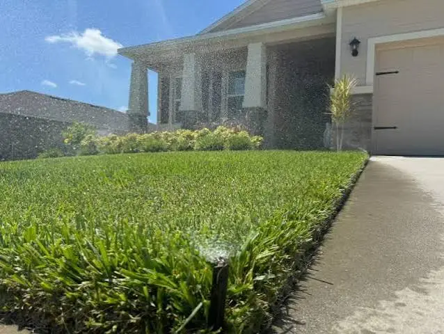 St. Augustine lawn care calendar for a Tampa Florida yard
